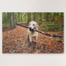 Suche nach haltung puzzle Niedlich