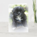 Recherche de tzu vœux cartes Nature