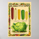Suche nach botanisch poster Vintage