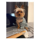Suche nach lustige yorkshire terrier poster Lustiger hund