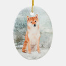 Recherche de shiba ornements Inu de shiba