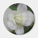 Recherche de oeillets magnets Jolie