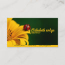 Suche nach käfer visitenkarten Ladybug