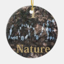 Suche nach nature ornamente Wandern