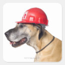 Recherche de construction autocollants Animal