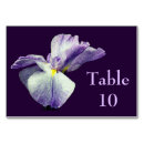 Suche nach iris tischkarten Lila