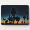 Suche nach stern fotoplatten Usa