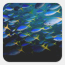 Suche nach unterwasser aufkleber Fisch