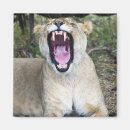 Recherche de hurlement magnets Animal