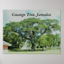 Suche nach jamaika poster Jamaica