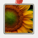 Recherche de de tournesol ornements Jardin
