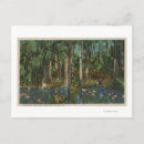 Recherche de hammock cartes postales Hamac