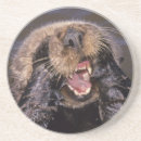 Recherche de loutre dessous de verres Mammifère