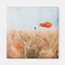 Recherche de fleurs de pavot magnets Ferme