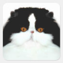 Suche nach smokingst aufkleber Miezekatze