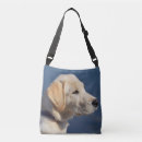 Recherche de labrador jaune sacs Chiot