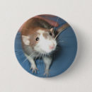 Suche nach lächelndes tier buttons Haustiere