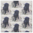 Suche nach retriever stoffe Labrador