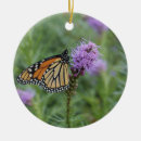 Suche nach schmetterlings fotos ornamente Schmetterlinge