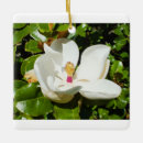 Suche nach magnolie ornamente Weihnachten