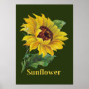 Suche nach vintage sonnenblume poster Land