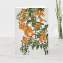 Recherche de vigne de trompette Floral