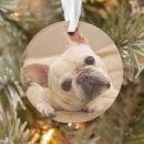 Suche nach french bulldog ornamente Niedlich