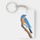 Suche nach wilder vogel schlüsselanhänger Blau