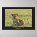 Suche nach message poster Text