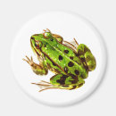 Suche nach lustiger frosch magnete Grün