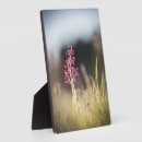 Suche nach orchidee fotoplatten Blühen