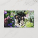 Recherche de bred cartes visite Chiot