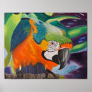 Recherche de oiseau curieux art Perroquet