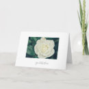Recherche de salutation de fleur blanche Floral