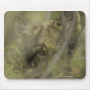 Suche nach allein mousepads Natur