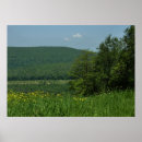 Suche nach lorbeer poster Appalachen