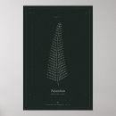 Recherche de fougères posters Dessin