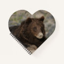 Suche nach grizzlybären Grizzlyn