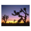 Suche nach 4x5 poster Hinterland