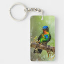 Recherche de colibris porteclés Coloré