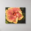 Suche nach fotograf leinwandbilder Blume
