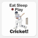 Suche nach cricket aufkleber Ball