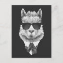 Recherche de d alpaga cartes postales Cool