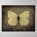 Recherche de papillons vintage posters Pour tous
