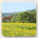 Suche nach weide untersetzer Horizontal