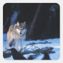 Suche nach canis lupus aufkleber North america