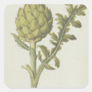 Recherche de artichaut autocollants Fruit