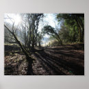 Recherche de boisé art Arbres