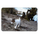 Recherche de von magnete Portrait