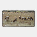 Suche nach der colorado elektronik zubehör Natur